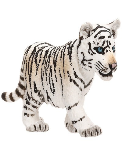 FILHOTE DE TIGRE BRANCO