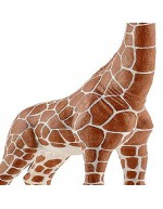 FEMMINA DI GIRAFFA