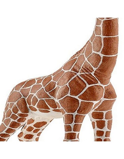 GIRAFE FEMELLE