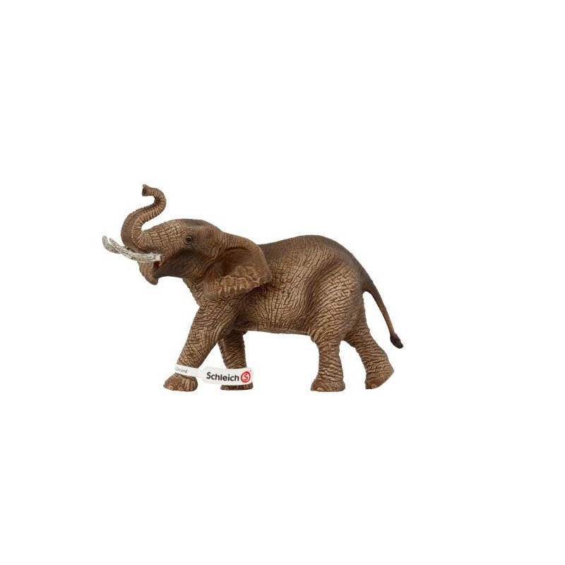 MALE AFRICAN ELEPHANT MALE AFRICAN ELEPHANT