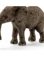 AFRICAN ELEPHANT CUB