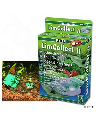 LimCollect II
