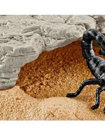 Wildlife Scorpion quarry