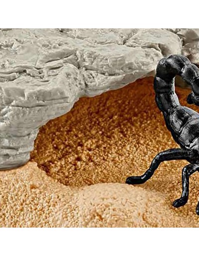 Wildlife Scorpion quarry