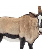 Antílopes Oryx