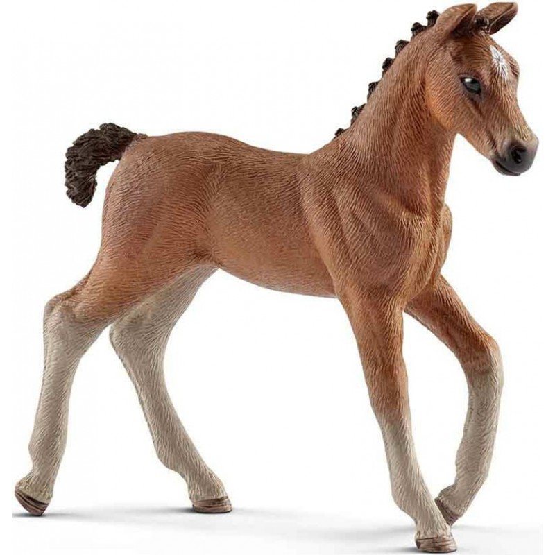 HANNOVER FOAL
