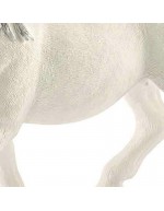 Lipizzaner Mare Schleich