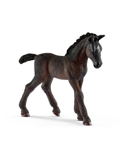 FOAL LIPIZZANO