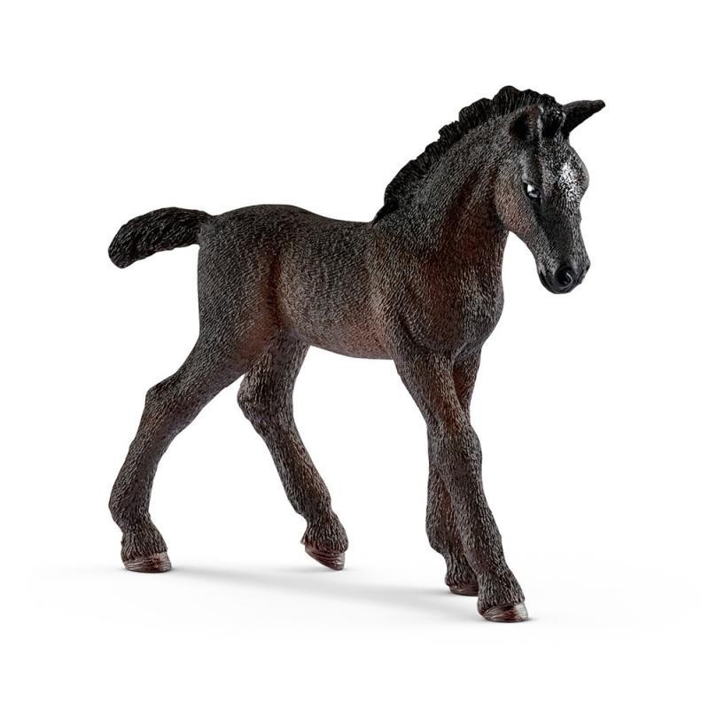 FOAL LIPIZZANO