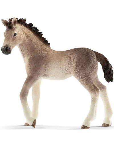 ANDALUSIAN COLT