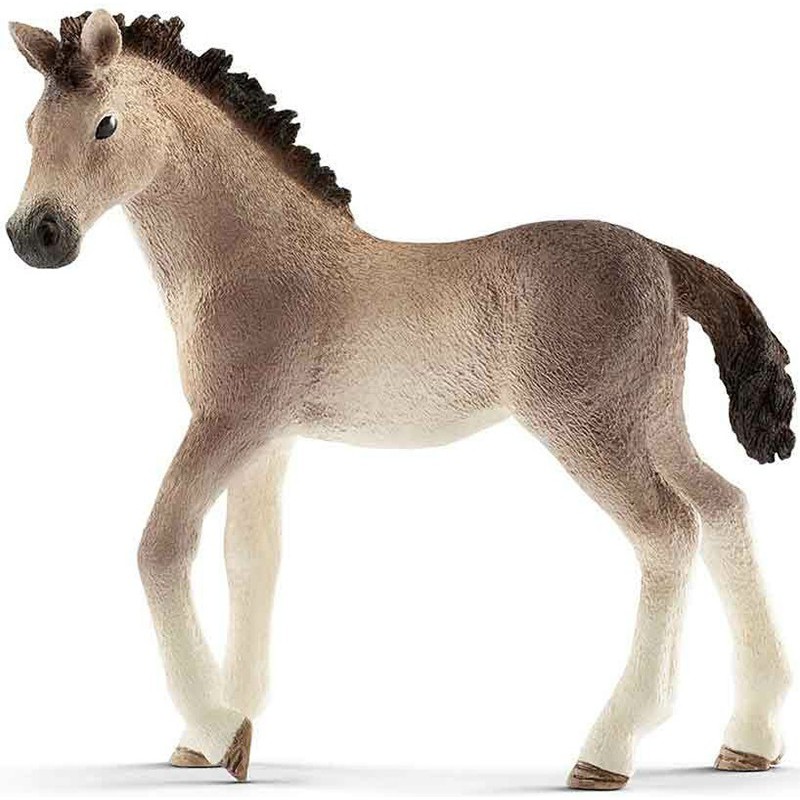 ANDALUSIAN COLT