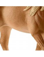 Caballos Tennessee Walker