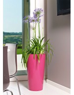 VASE TUIT 33 cm WITH CICLAMINO CONTAINER