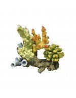 Haquoss coral em colagem imaginativa de rocha