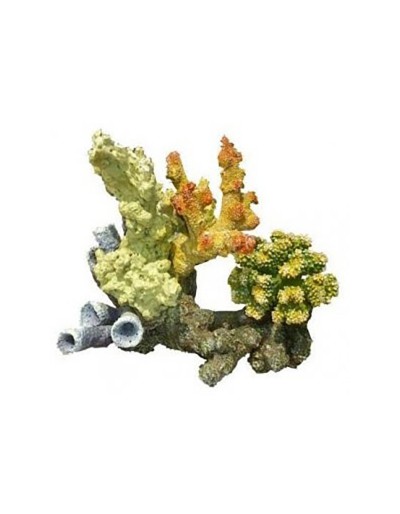 Haquoss coral em colagem imaginativa de rocha