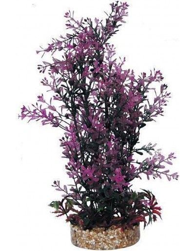HAQUOSS PHYTOS 23 9X9X30H cm planta decorativa verde y lila