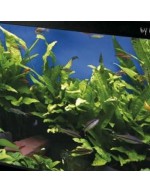 Haquoss evolution aquarium with led light