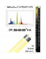 Solarmax lamp