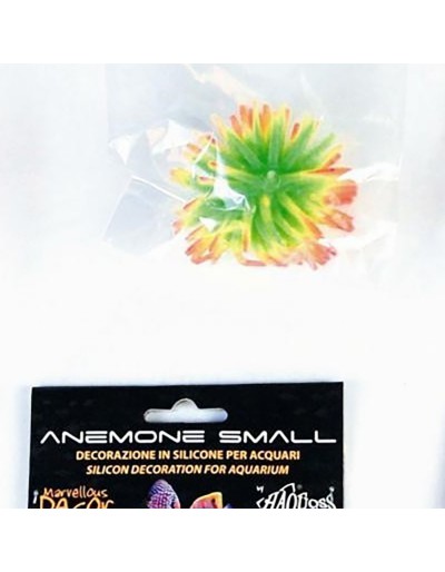 anemon haquoss<br>mały kolor do wyboru