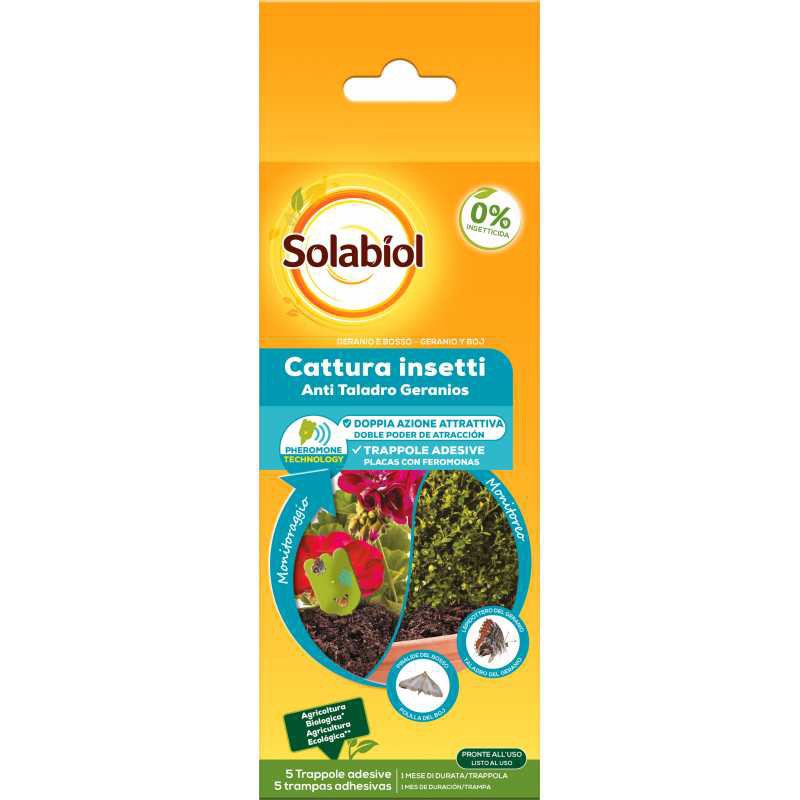 CATCH INSECTS GERANIUM UND BOSSO CATCH INSECTS GERANIUM UND BOSSO