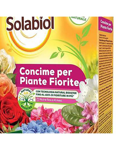 Plantas con flores de fertilidad solabiol