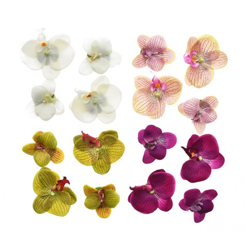 PHALAENOPSIS FLOATING PHALAENOPSIS FLOATING