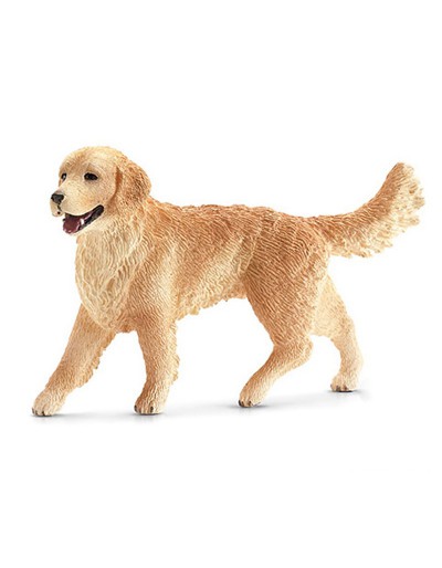 FEMALE GOLDEN RETRIEVER