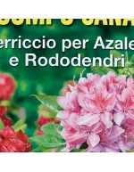 Azaleas rododendros e plantas ácidas