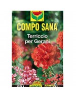 Compo sana potting soil geraniums