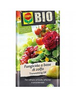 Fungicide based on sulfur