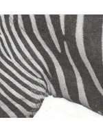 Guardanapos de papel zebra animal