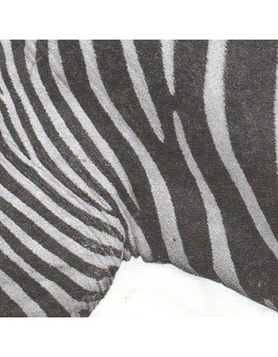 Guardanapos de papel zebra animal