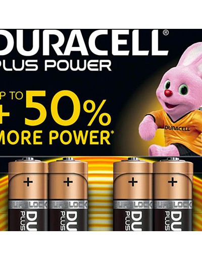 Duracell aa plus batteries alcalines
