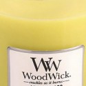 Woodwick jasmine candle