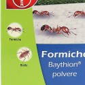 Formigas baythion em pó