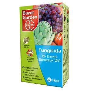 R6 BORDEAUX WG FUNGICIDE 250 g