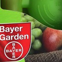 Szmaragdowy ogród grzybobójczy Bayer