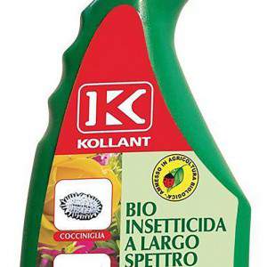 Bio insecticide ready using a wide spectrum spruzit