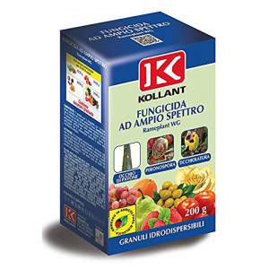 RAMEPLANT WS AST. 200 gr
