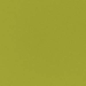 Excelsa Plate Trendy Green Background