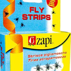 fly strips adhesive strips