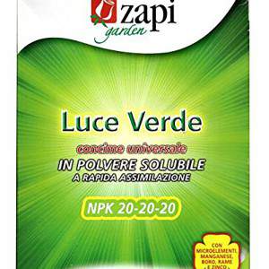 Poudre soluble vert clair zapi