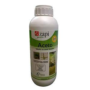 ZAPI VINEGAR CONCENTRADO 1lt