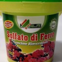 Embalagem de sulfato de ferro de esverdeamento de fertilizantes de