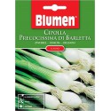 BLUMEN EUROVISION ORTO AND AROMATICS