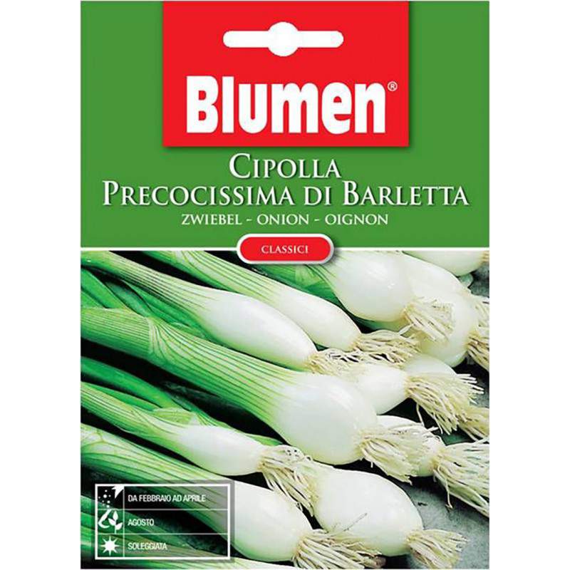 BLUMEN EUROVISION ORTO E AROMATICHE