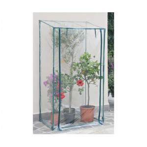 GREENHOUSE BUGANVILLEA 100X70 H170 / 190