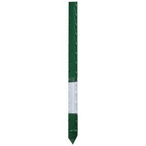 Plastic-coated steel support stake