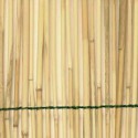Stockade de bambou brut
