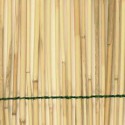 Estocagem de bambu cru